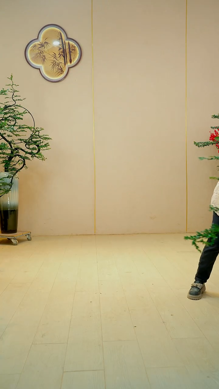 以实际为准郑*凤【广东小叶紫檀】落地高端盆景绿植四季常青常绿