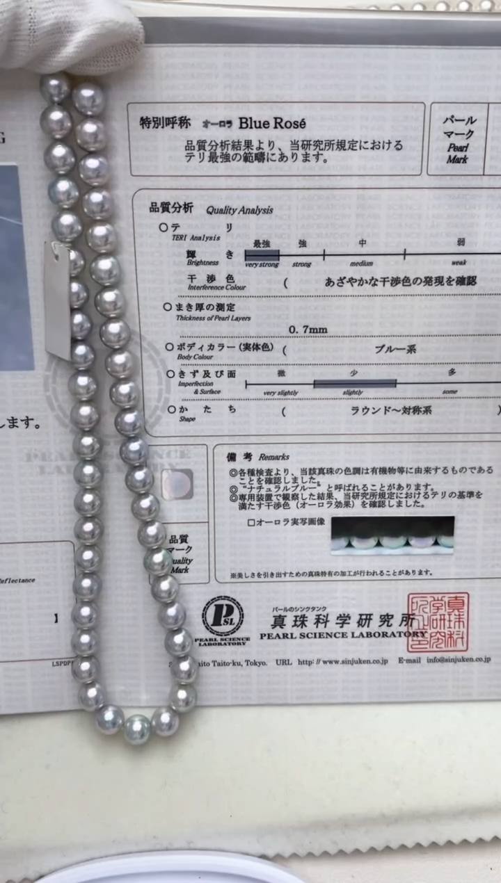 【闪购商品】海水珍珠项链未镶嵌9-9.5mm蓝玫瑰项链