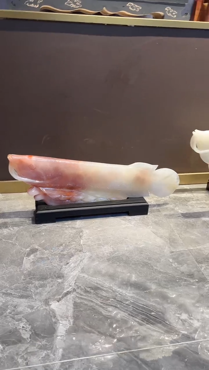 【闪购商品】石材龙鱼