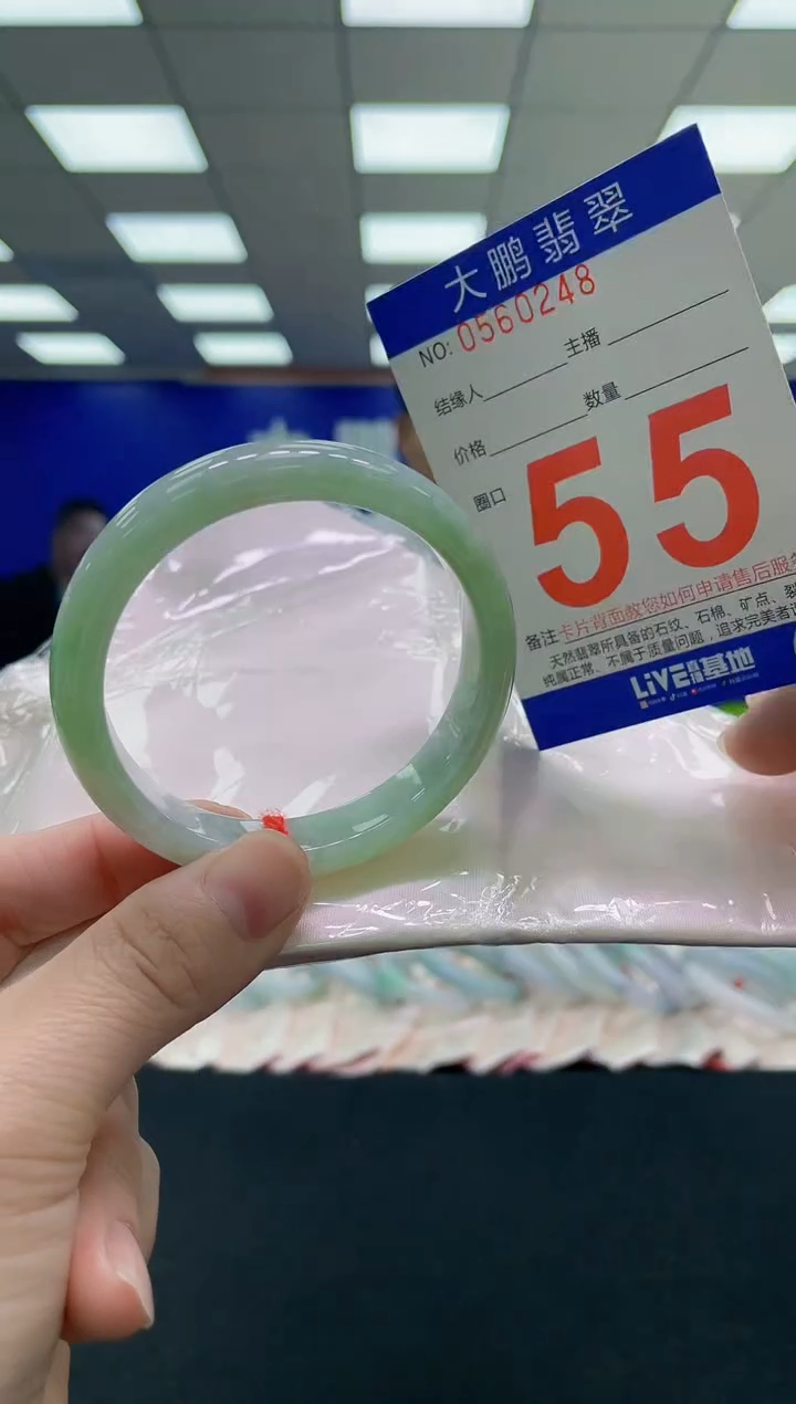 未镶嵌手镯翡翠AAAAAAAAAA