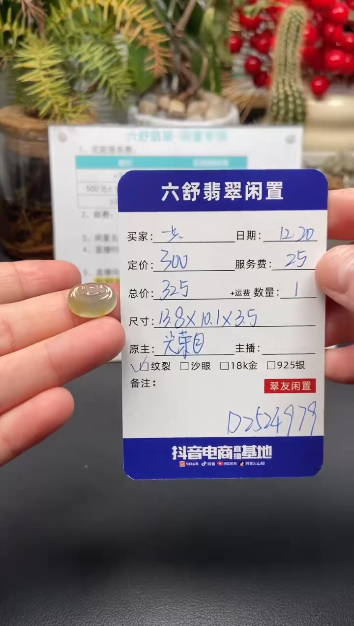 颈饰未镶嵌翡翠一****️D2524979