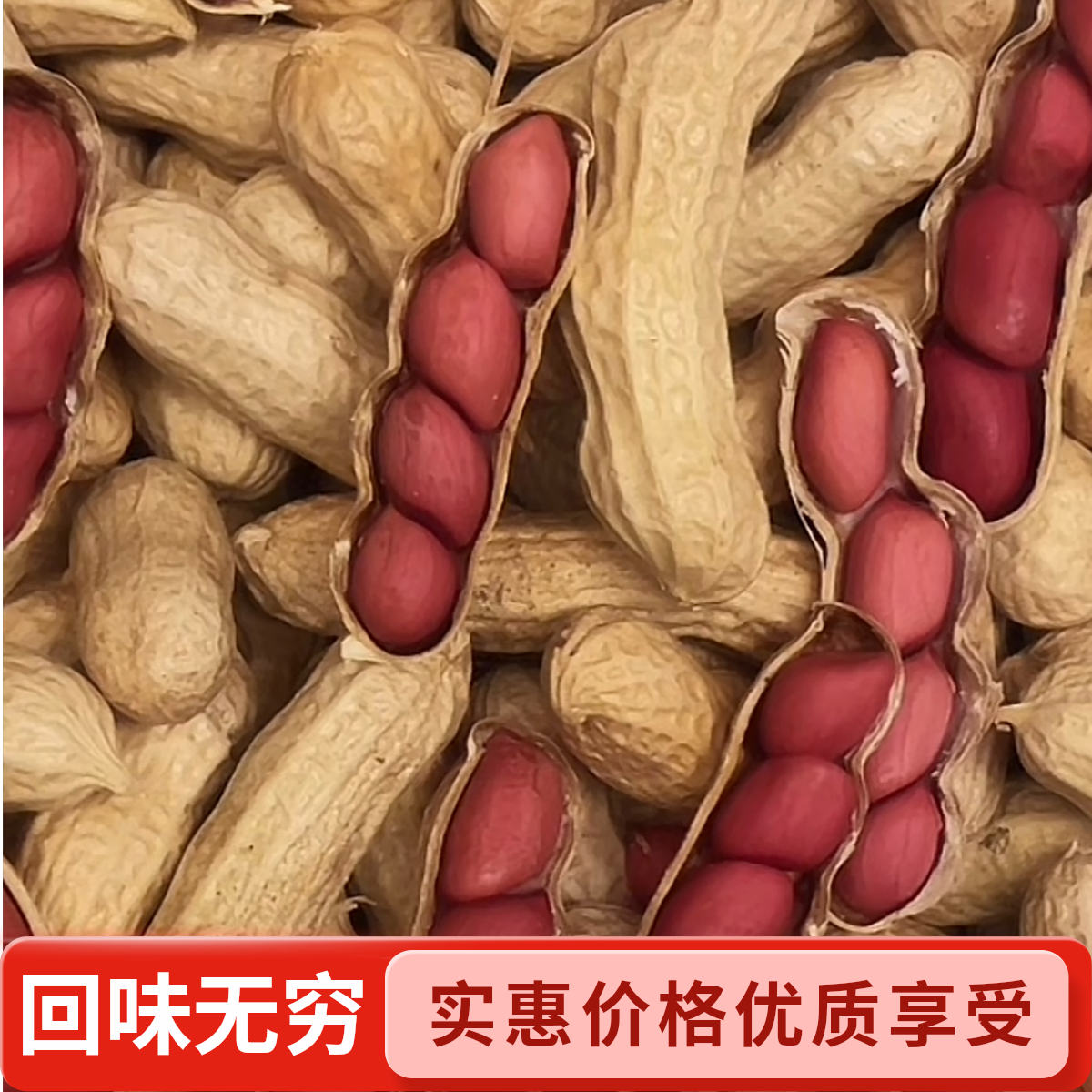 精选内蒙古带壳红衣当季新货红皮四粒红带壳原味生红皮花生米