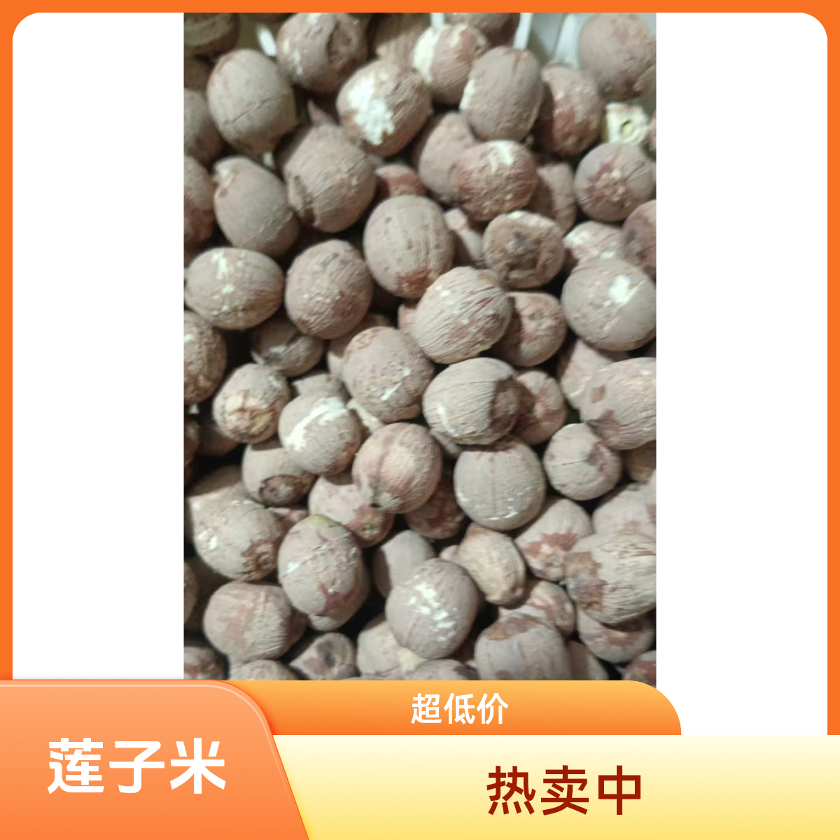 【岳阳县毛田助农】带芯干红莲