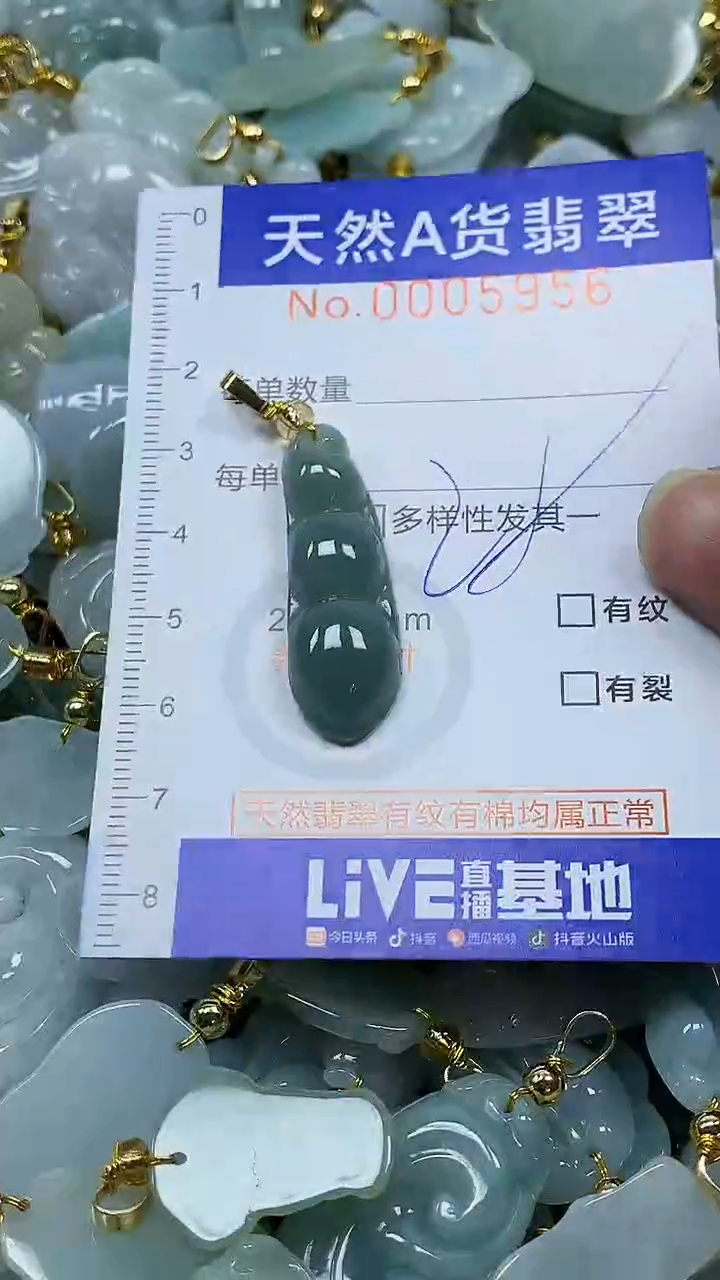 颈饰未镶嵌翡翠纯天然a货翡翠