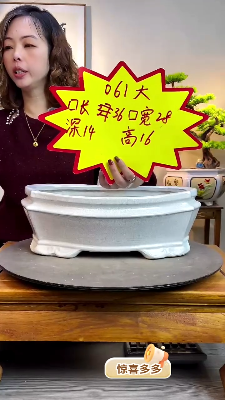 【闪购商品】陶瓷061大