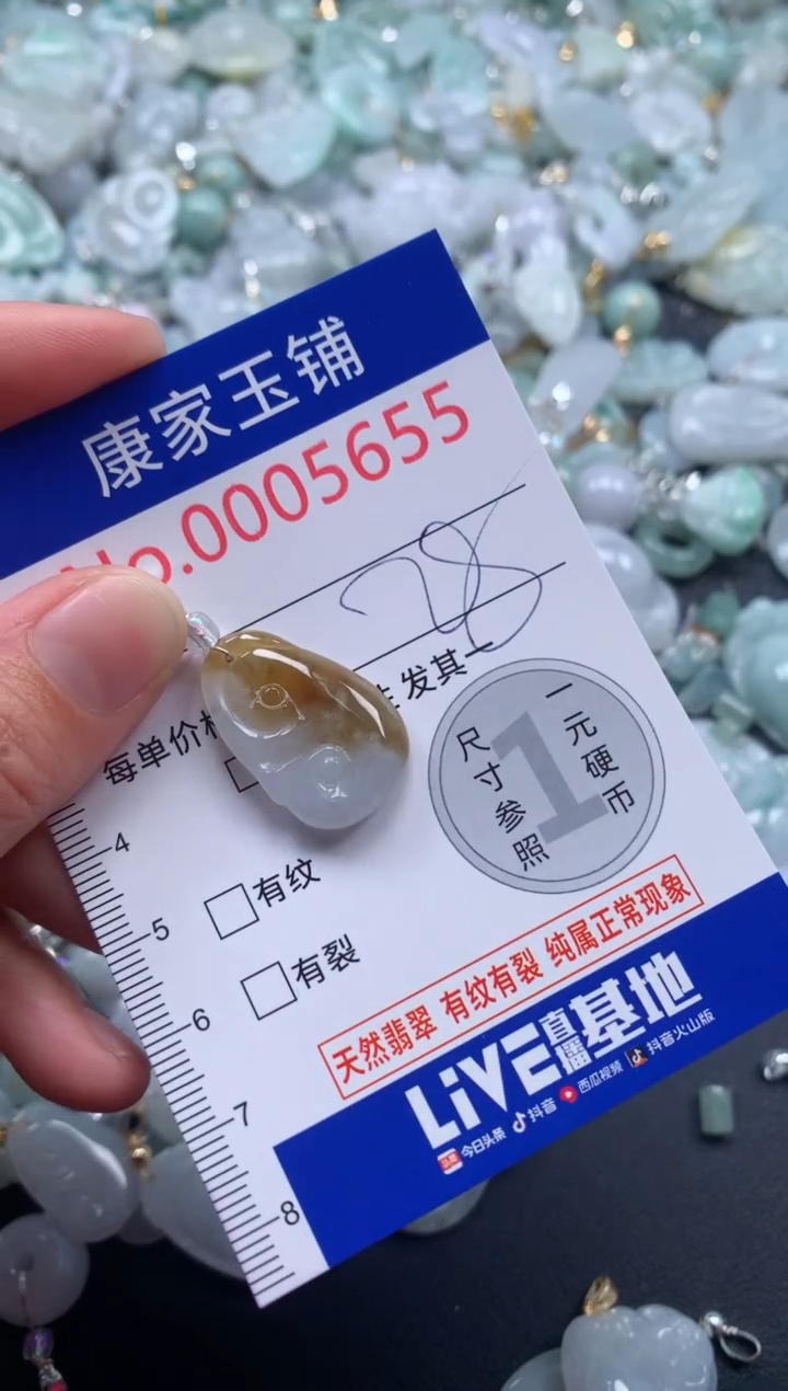 颈饰未镶嵌翡翠5655