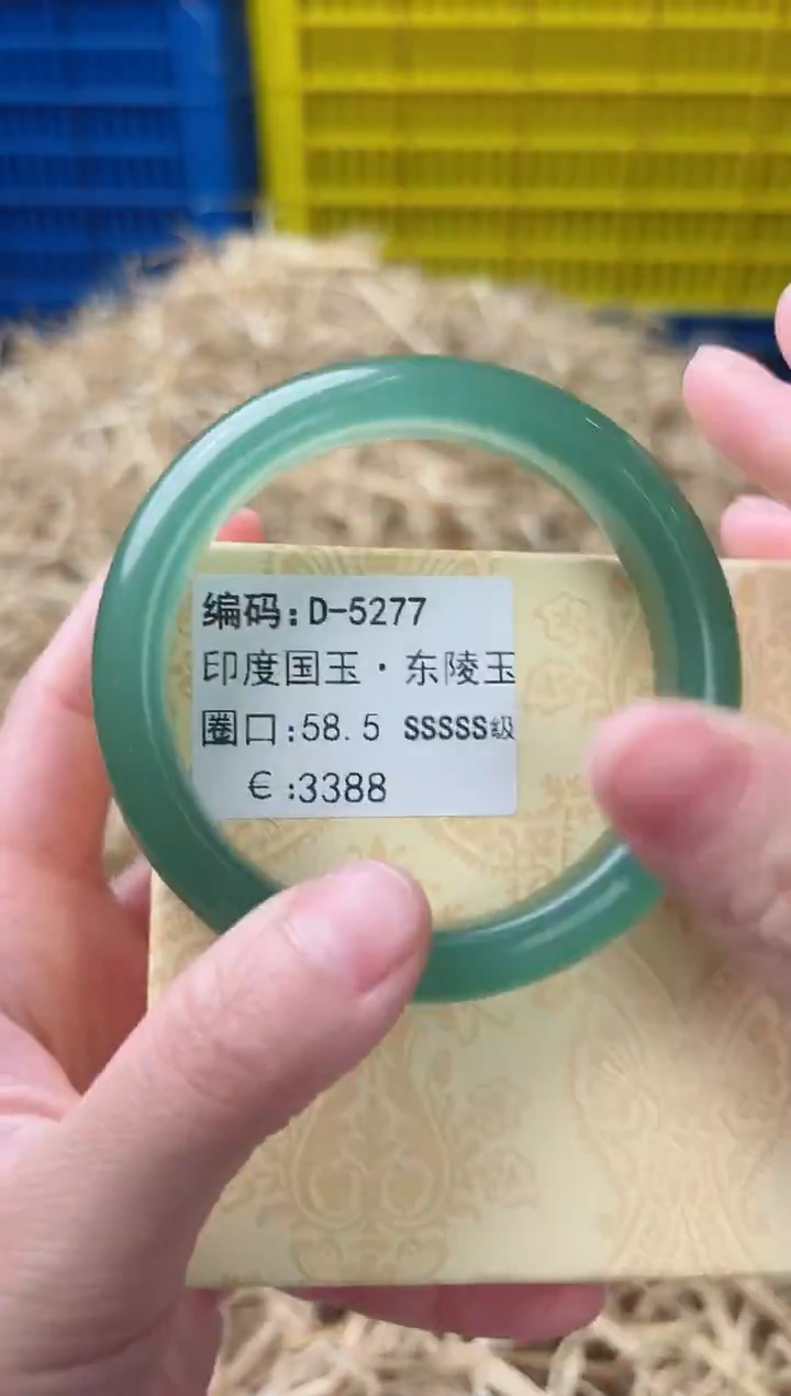 未镶嵌手镯石英质玉D-5277