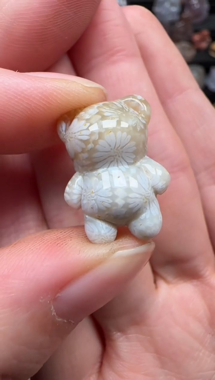 颈饰未镶嵌硅化珊瑚（珊瑚玉）356