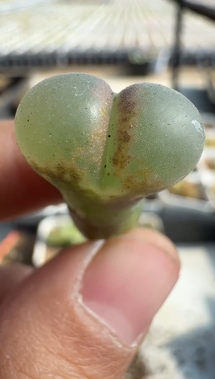 【闪购商品】8--18