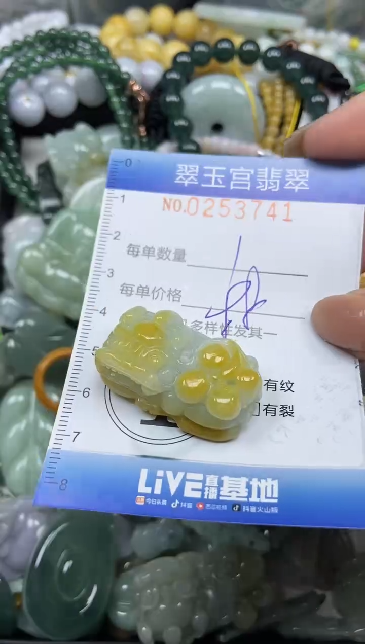 颈饰未镶嵌翡翠闪购C0253741