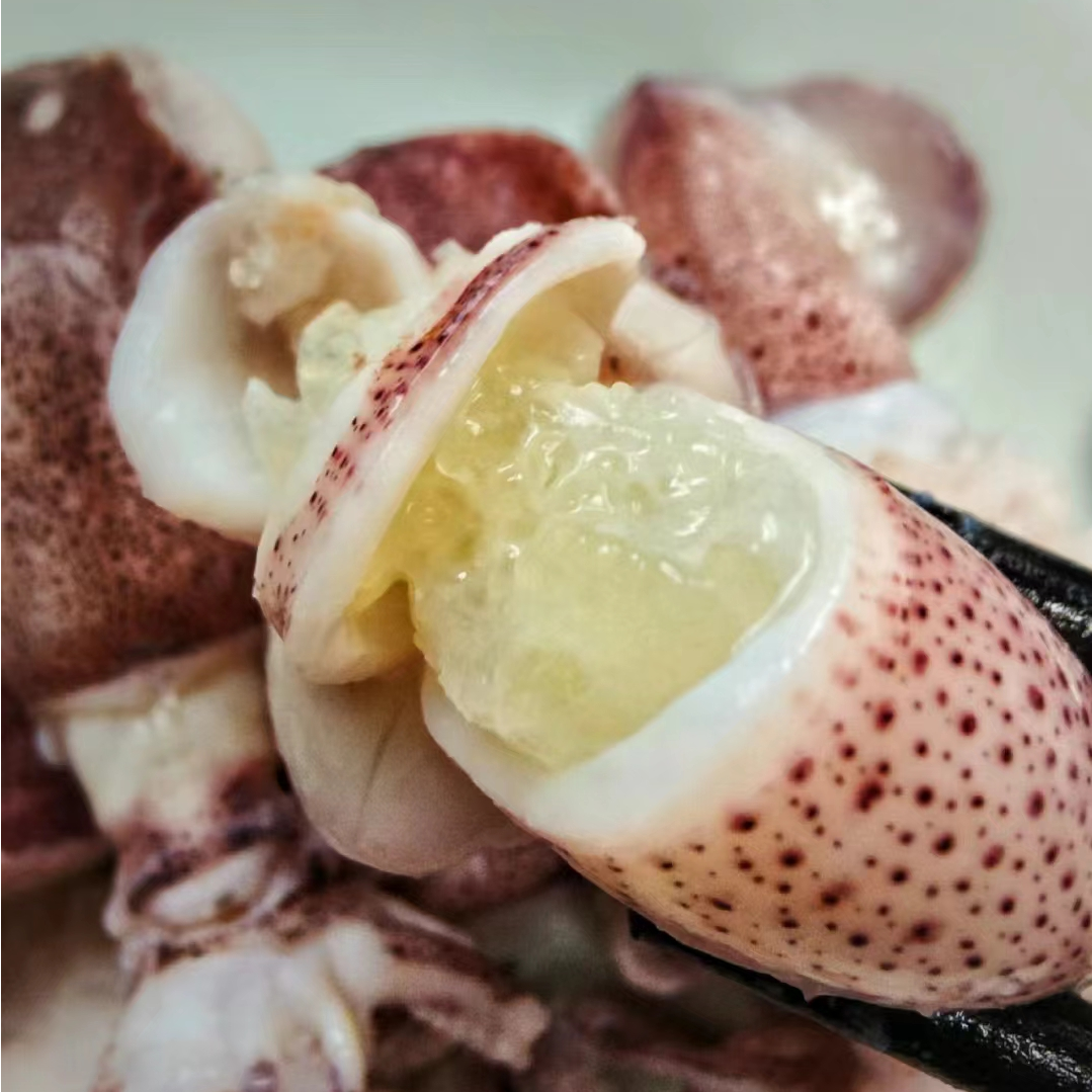 【手钓中管鱿鱼】母管5成左右带籽鱿鱼带膏海兔 包脆包甜不缩水