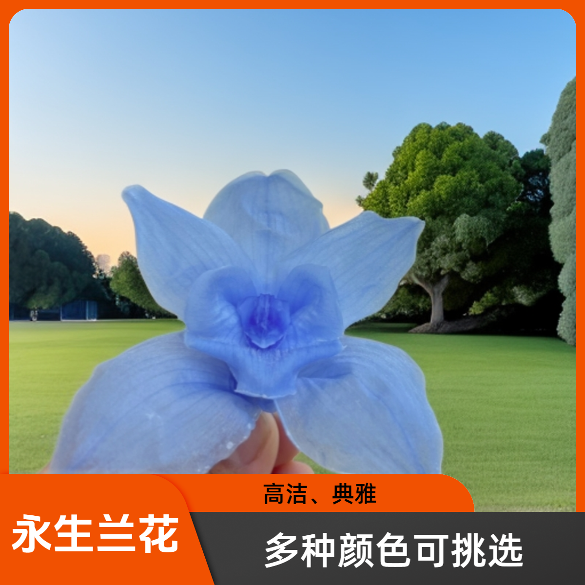 兰花永生花束高级感大花蕙兰DIY材料摄影婚庆仿真礼品手工装饰花