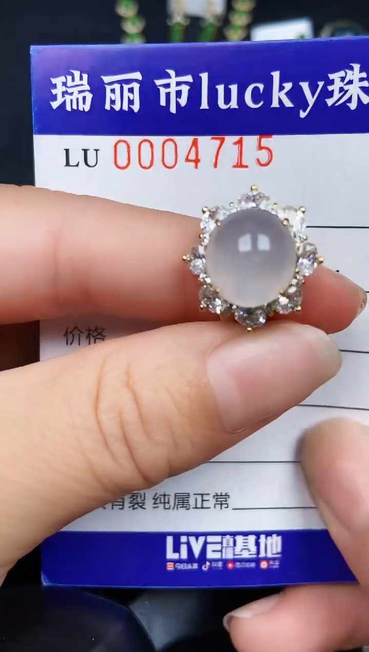 翡翠银S925镶嵌颈饰4715