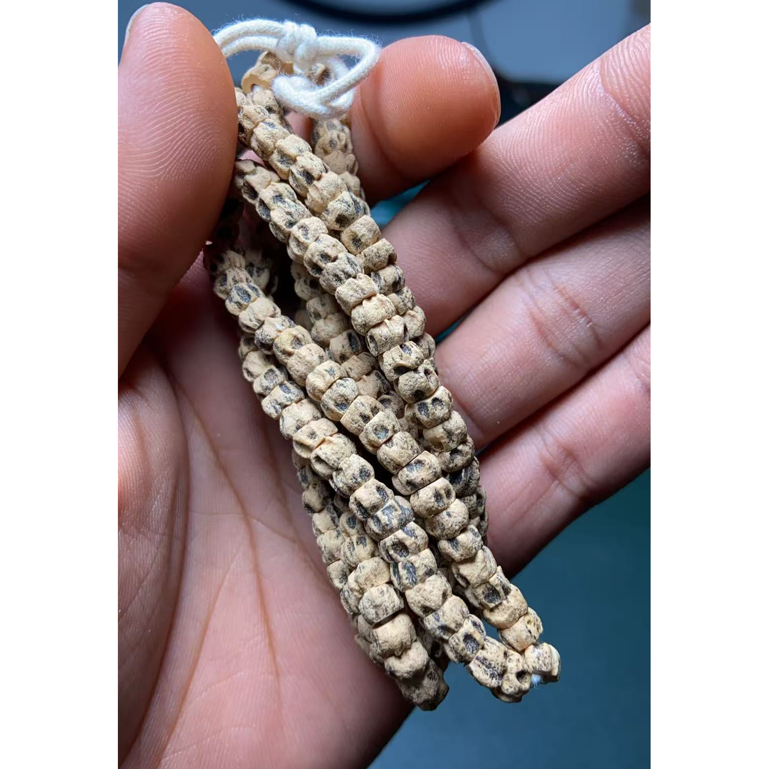 热振寺百香籽柏香籽对眼深坑尸陀林厚切猪大肠老树麻皮收藏级