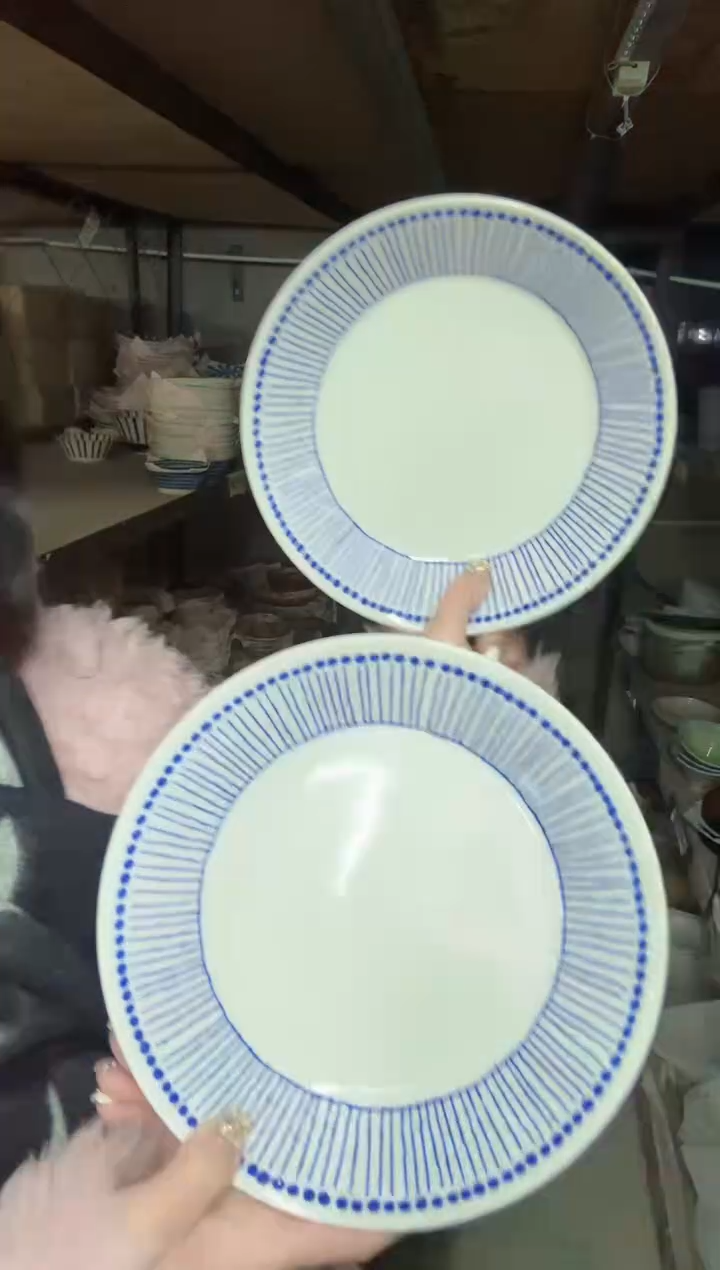 陶瓷苍十草21cm深盘两个