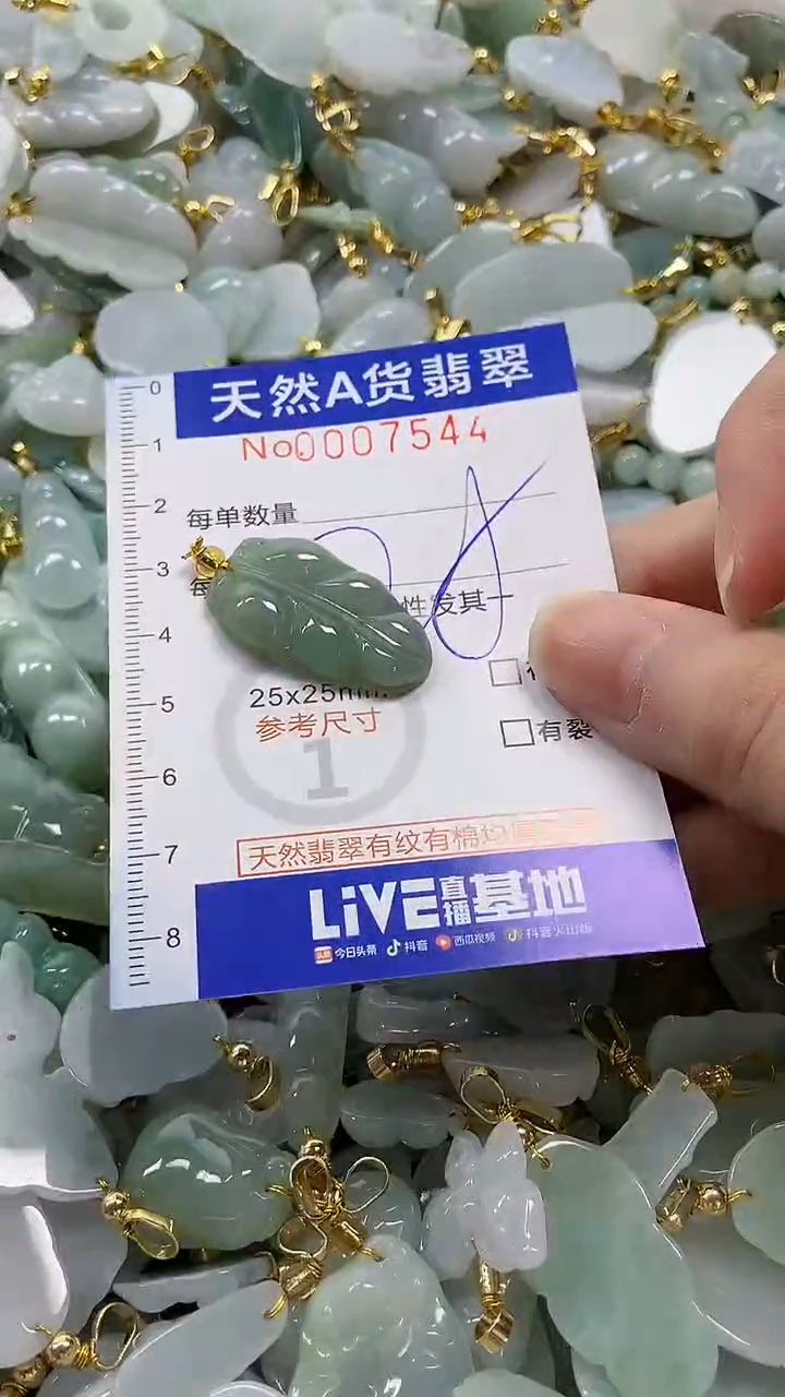 颈饰未镶嵌翡翠纯天然a货翡翠