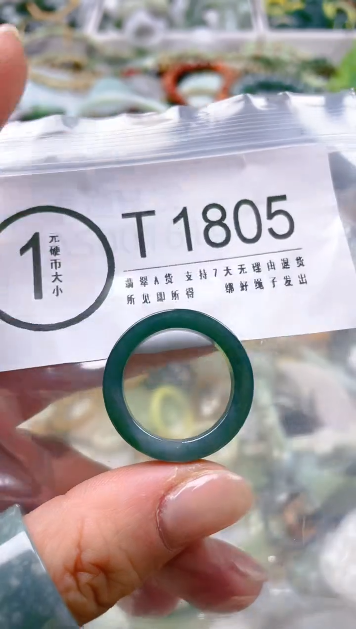 【闪购商品】翡翠颈饰未镶嵌19/T/翡翠A货一图一物