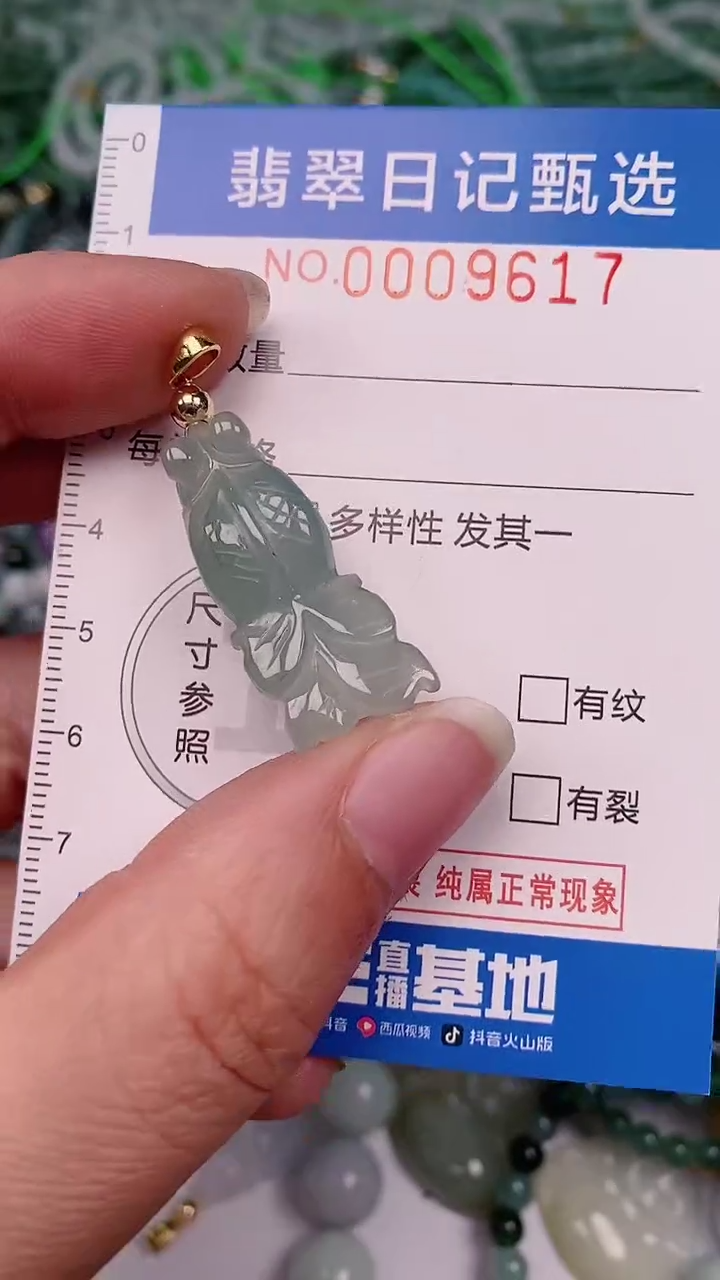 【闪购商品】翡翠颈饰未镶嵌00009617