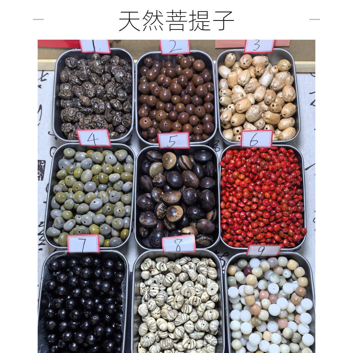 天然菩提子鬼脸菩提太阳子散珠十八籽混选