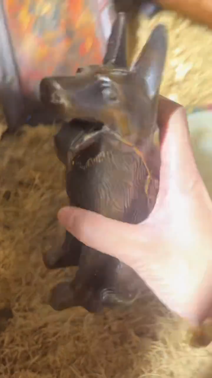 香榧木（1个小复利）