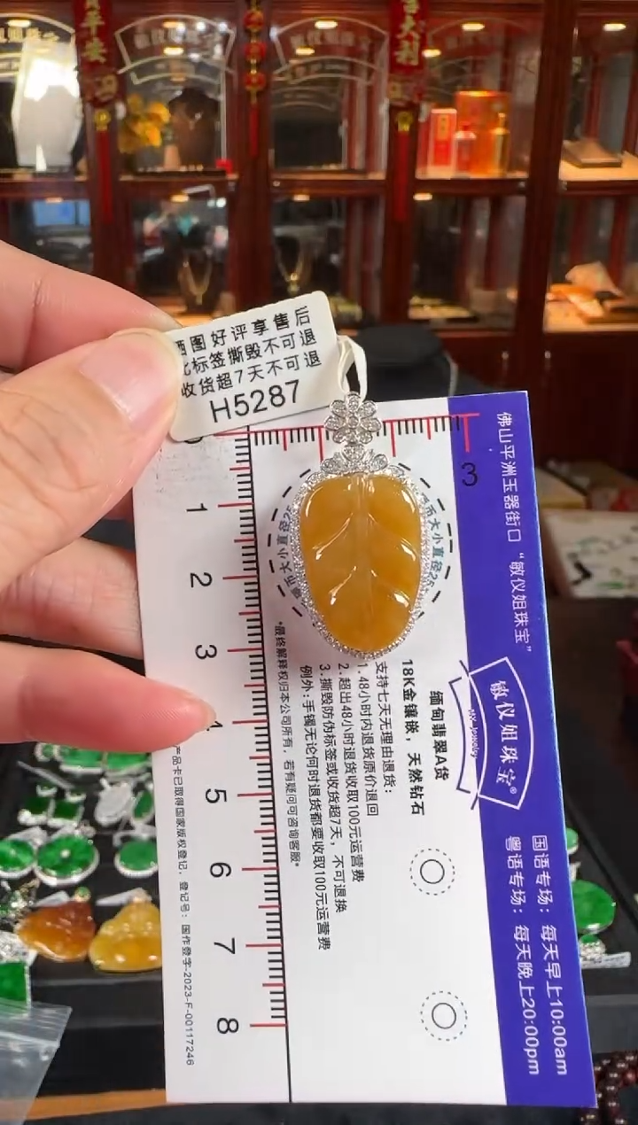 颈饰18K金镶嵌翡翠H5284富贵豆