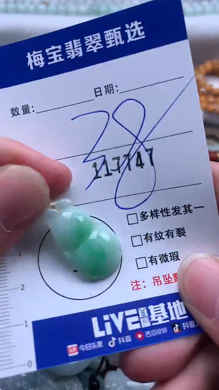 颈饰未镶嵌翡翠1