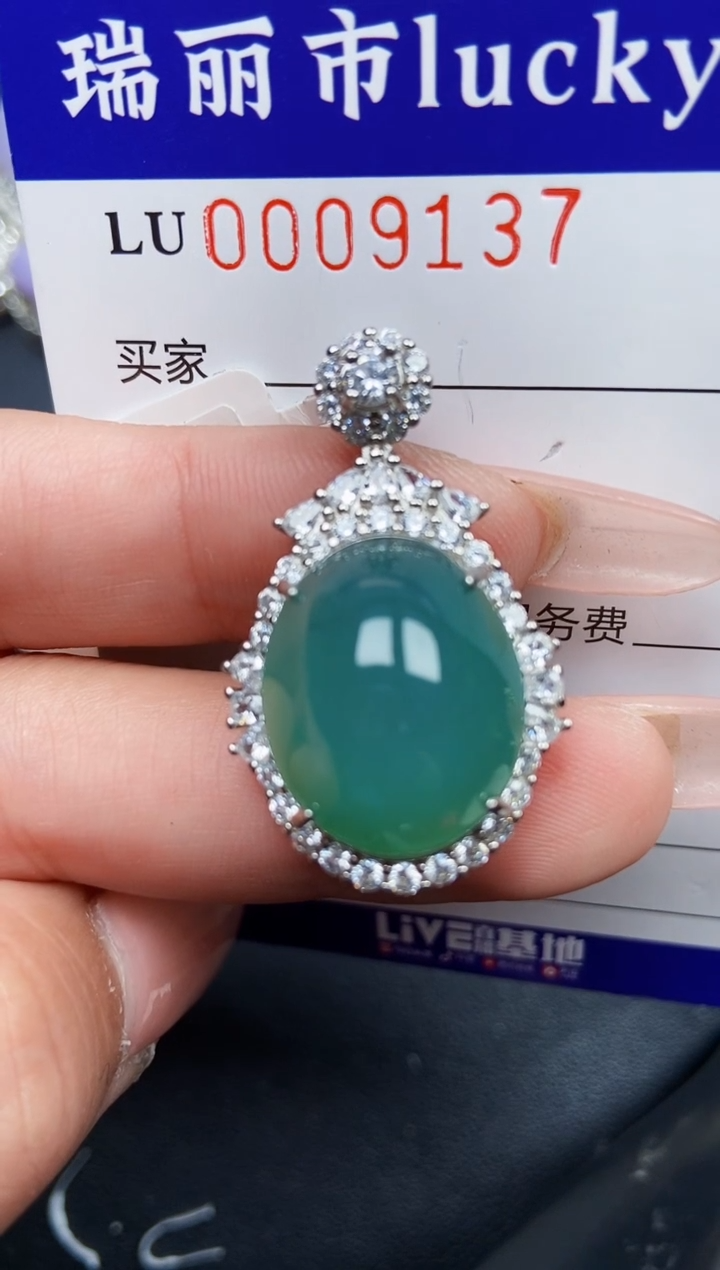 【闪购商品】翡翠颈饰银S925镶嵌9137
