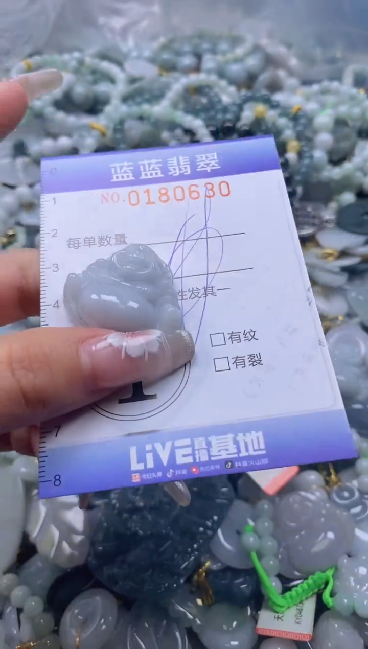 【闪购商品】翡翠颈饰未镶嵌闪购0180630