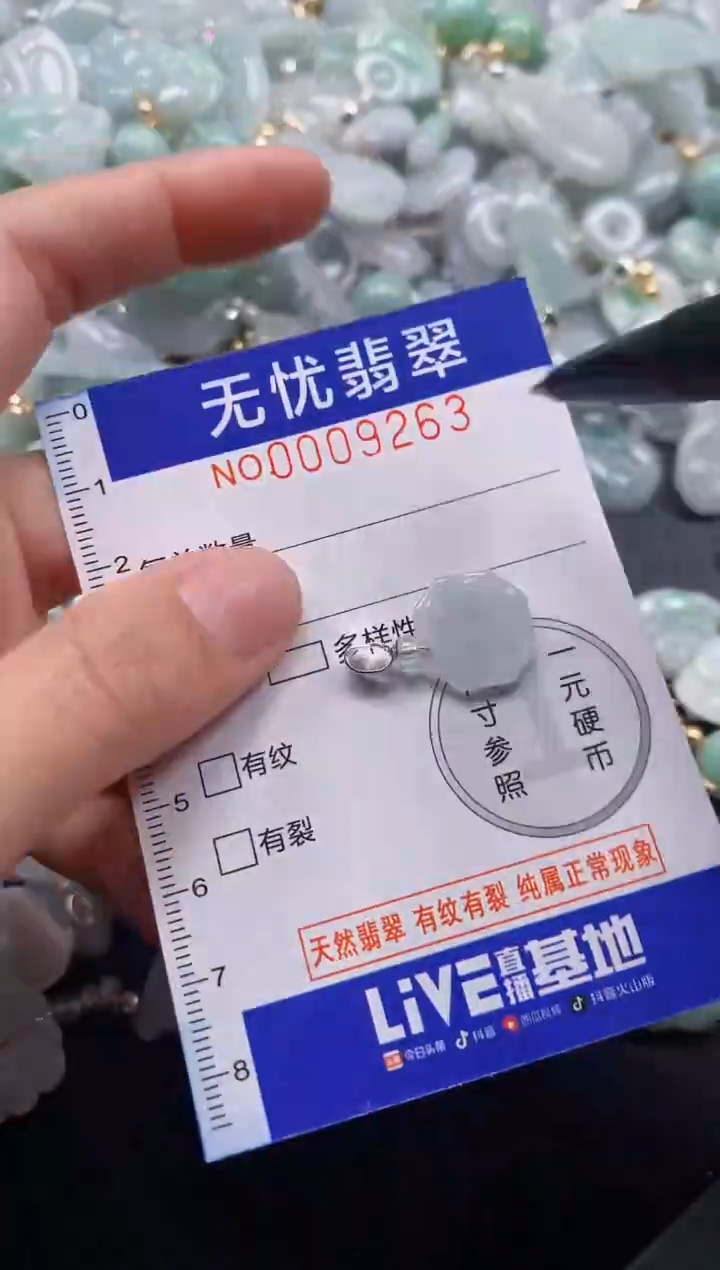 颈饰未镶嵌翡翠9263