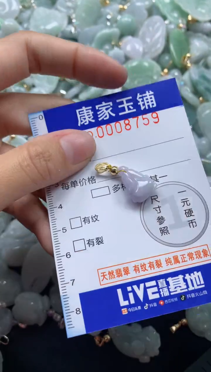 颈饰未镶嵌翡翠8759