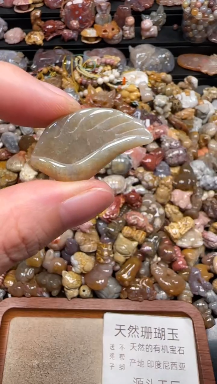 硅化珊瑚（珊瑚玉）未镶嵌颈饰056