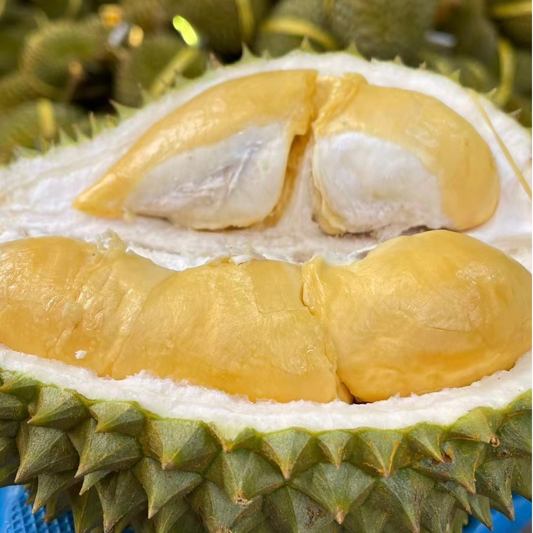 泰国托曼尼榴莲新鲜榴莲整果发货 核大介意慎拍生开不售后g托曼尼泰国