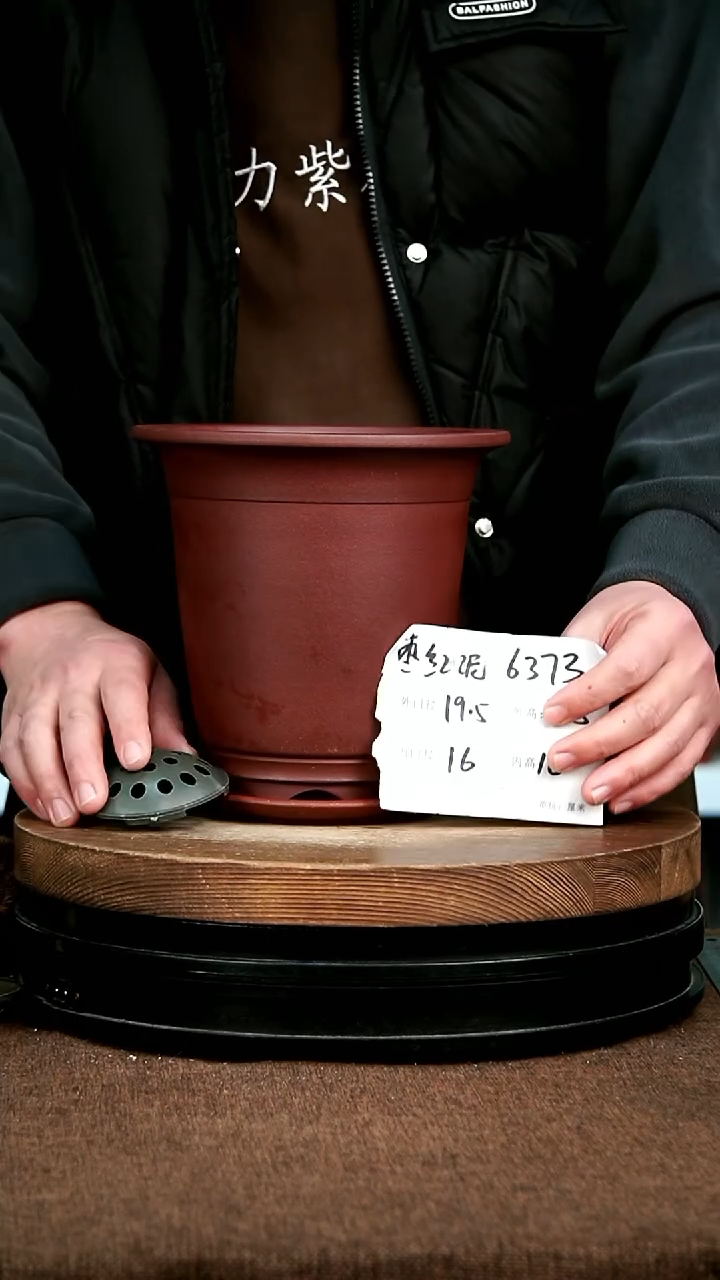 紫砂花盆花卉园艺6373+Z