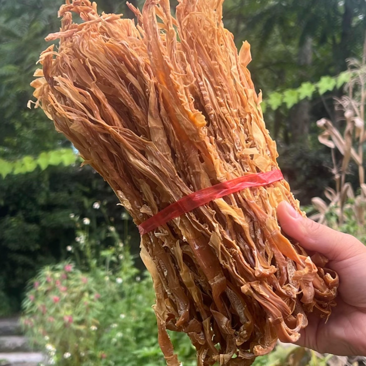 广西罗成农家麻竹笋干纯天然萝卜干晒干不香脆熏硫烤肠