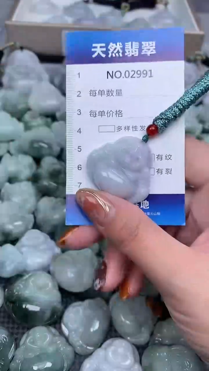 颈饰未镶嵌翡翠纯天然A货翡翠2991