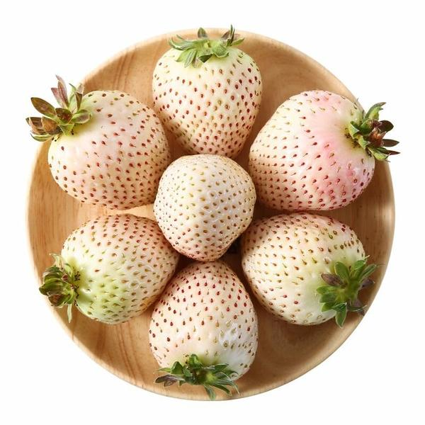 白雪公主纯甜草莓500g（新鲜）