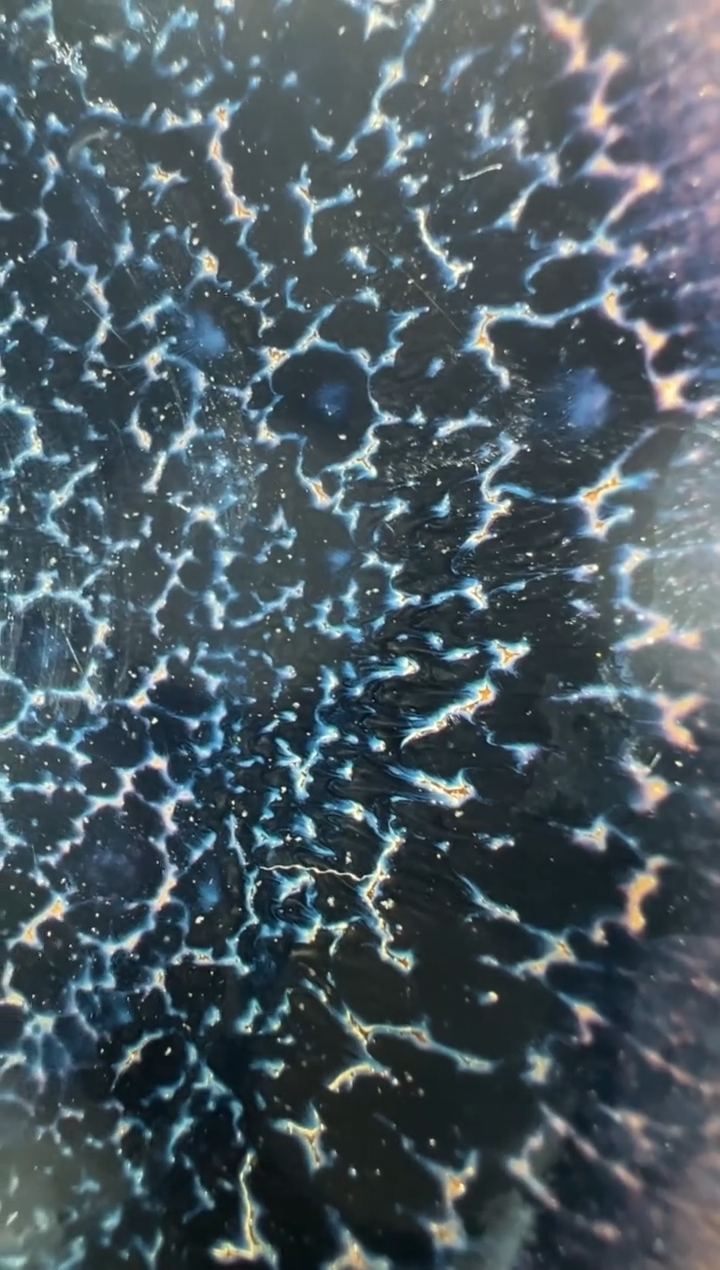 【闪购商品】茶盏10@建窑建盏金长兴