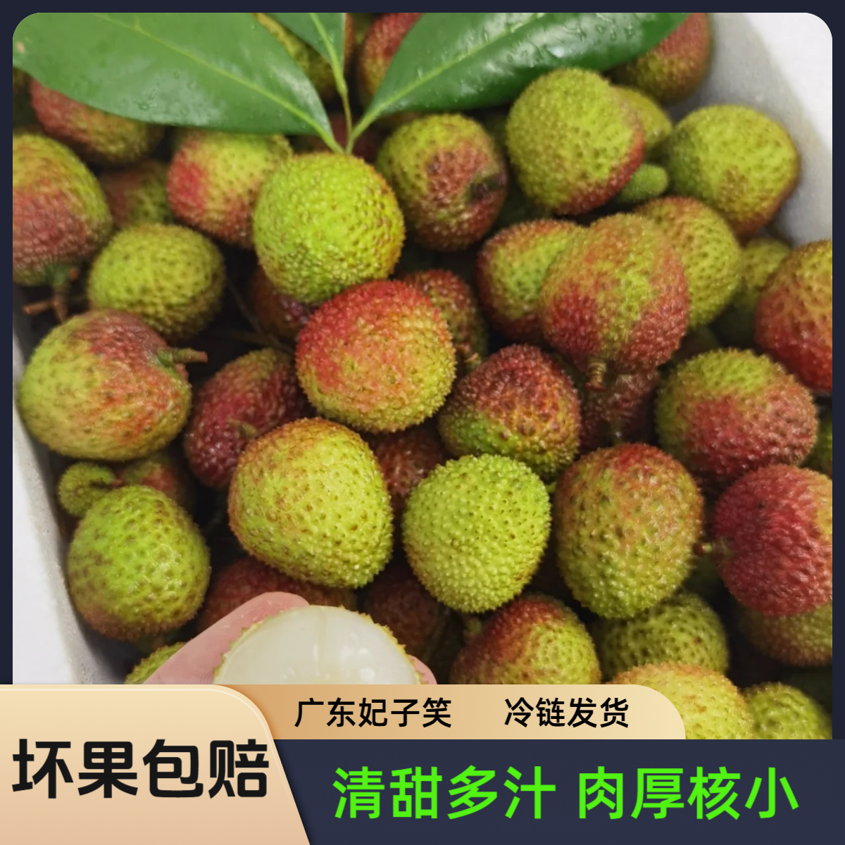 【冷链发货/只发树熟果】广东妃子笑核小肉厚多汁1-5斤装