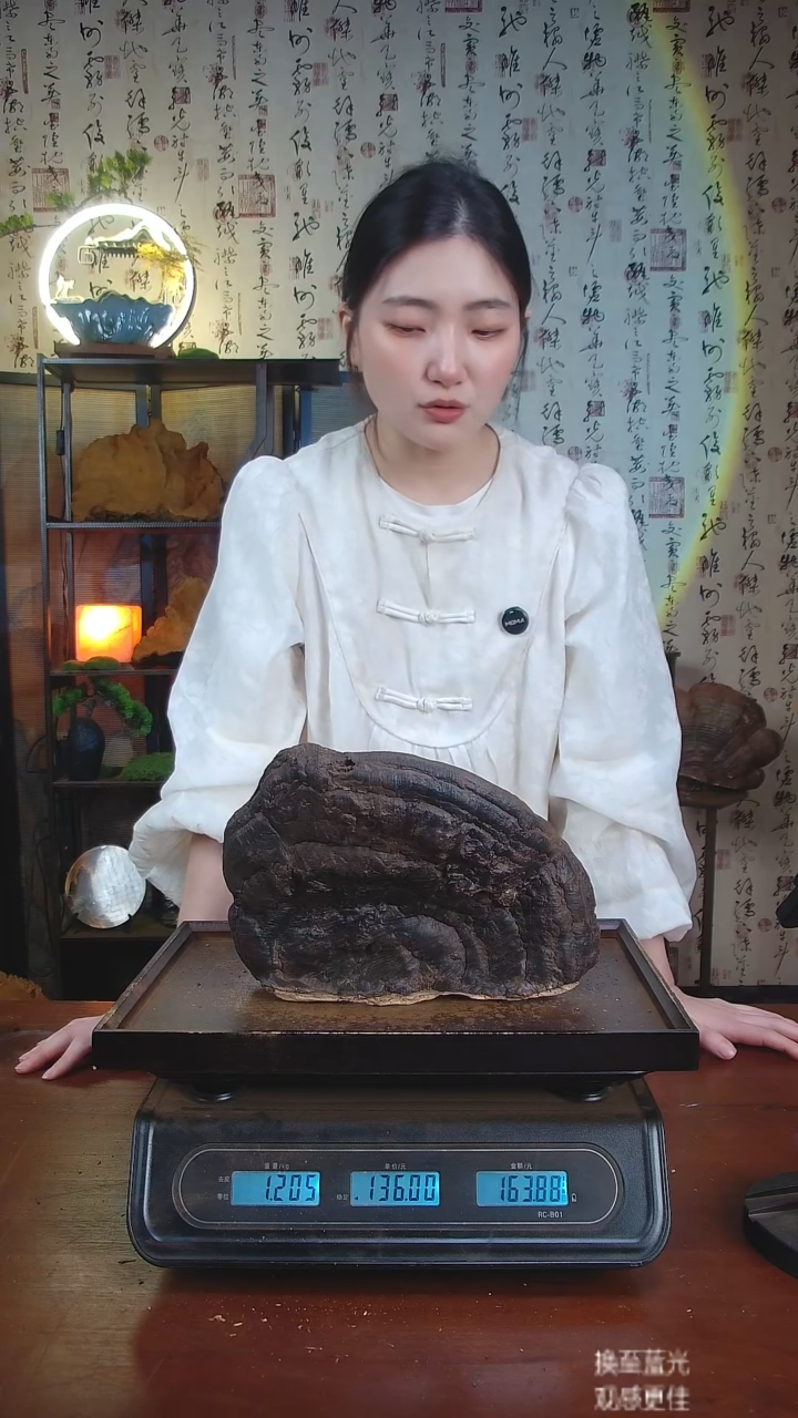 红缘拟层孔菌中国大陆【藏区 野生】红缘树舌（2.41斤）20-30年份