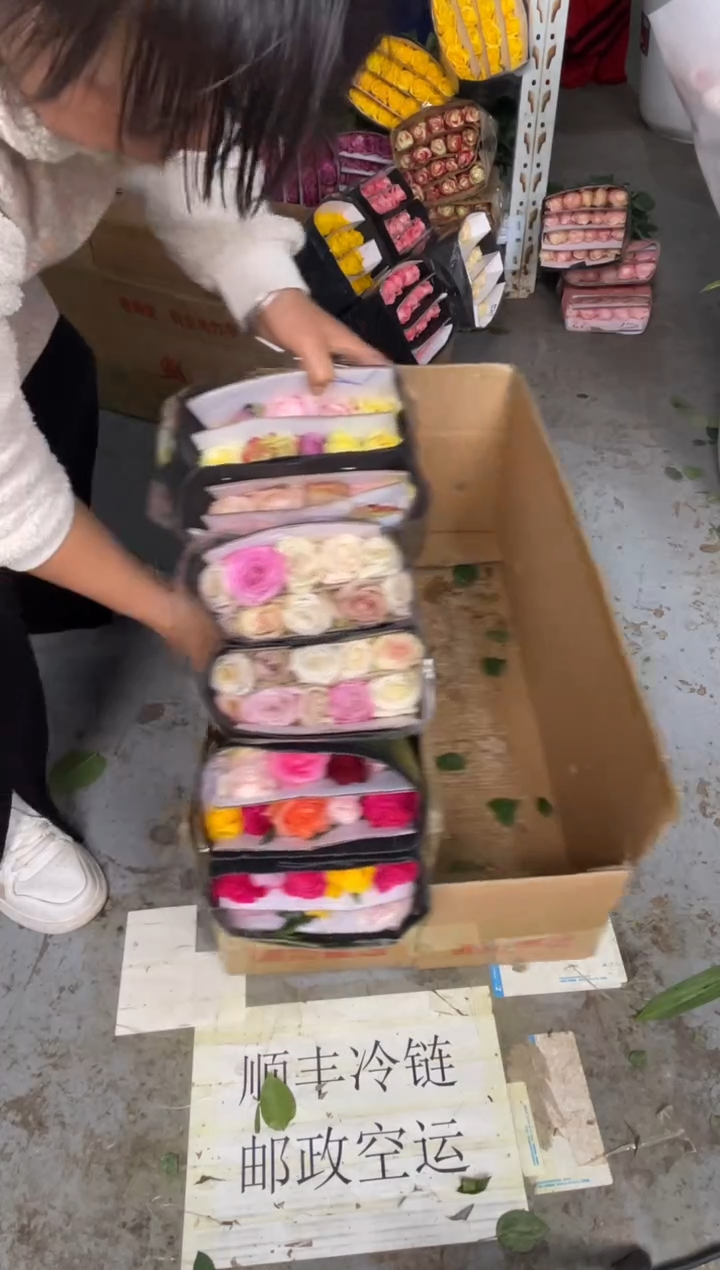 混色玫瑰60枝        