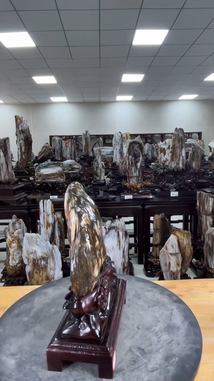 【闪购商品】硅化玉珠宝奇石未镶嵌1