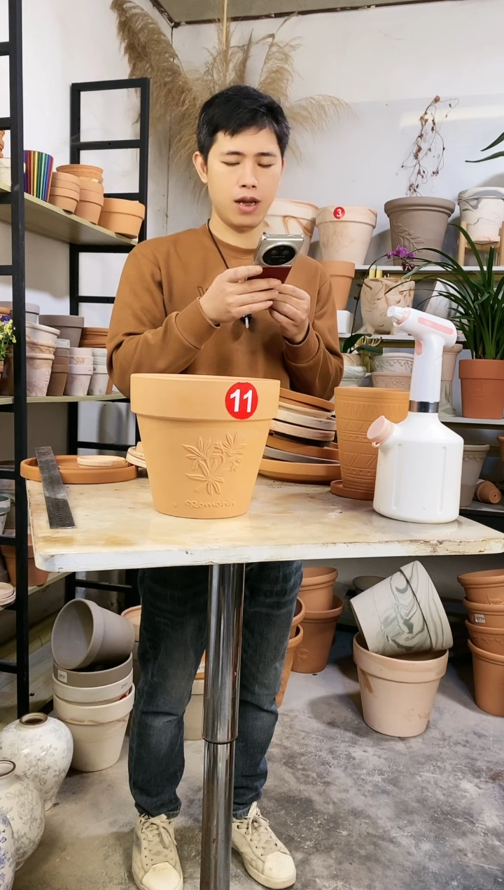 【闪购商品】红陶20*19红陶国际香草 1盆无托