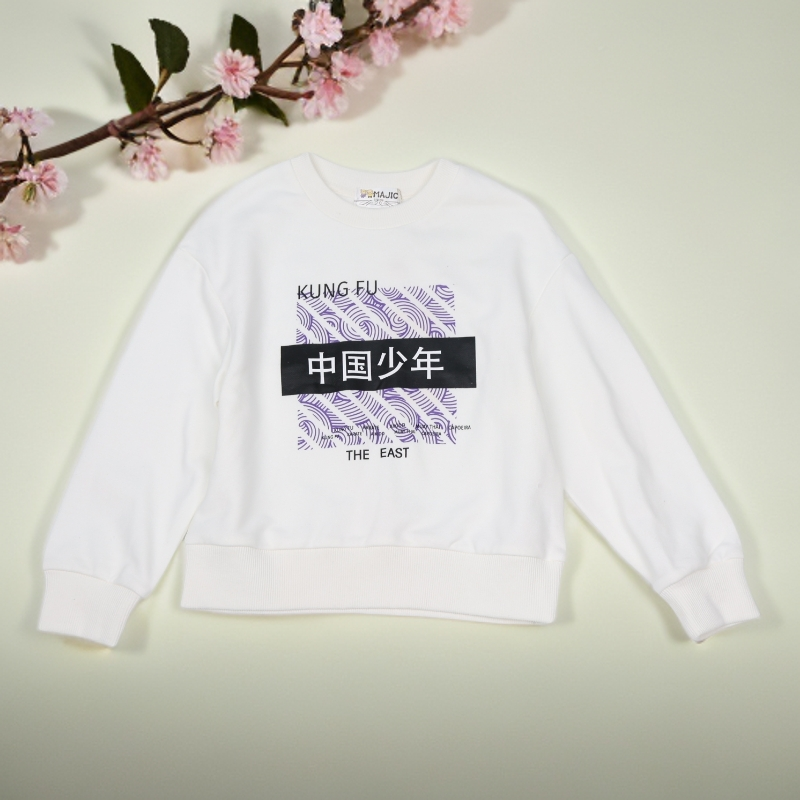 A9-823玛儿童春秋款圆领长袖卫衣（13110685）