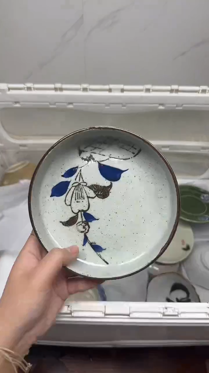 【闪购商品】363回流瓷器默认微瑕，18.8包邮