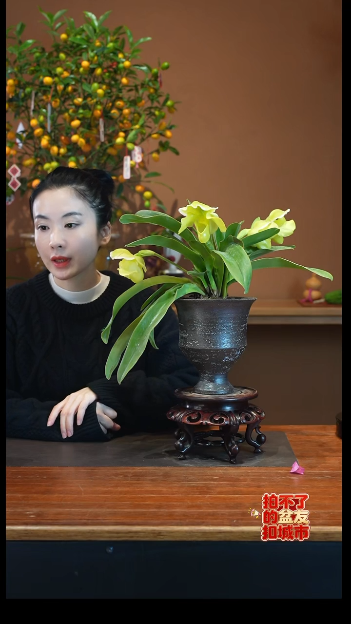 全部花朵绿肉饼黑陶