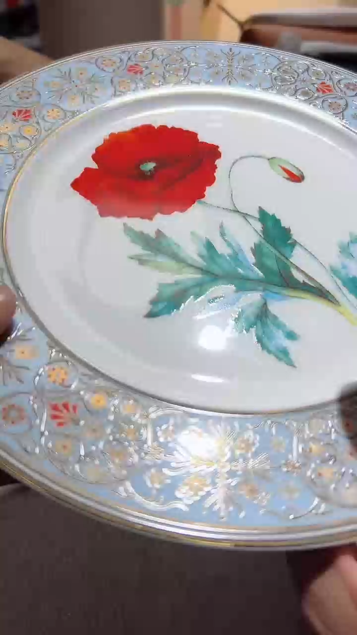 【闪购商品】瓷片正品保真，清库存