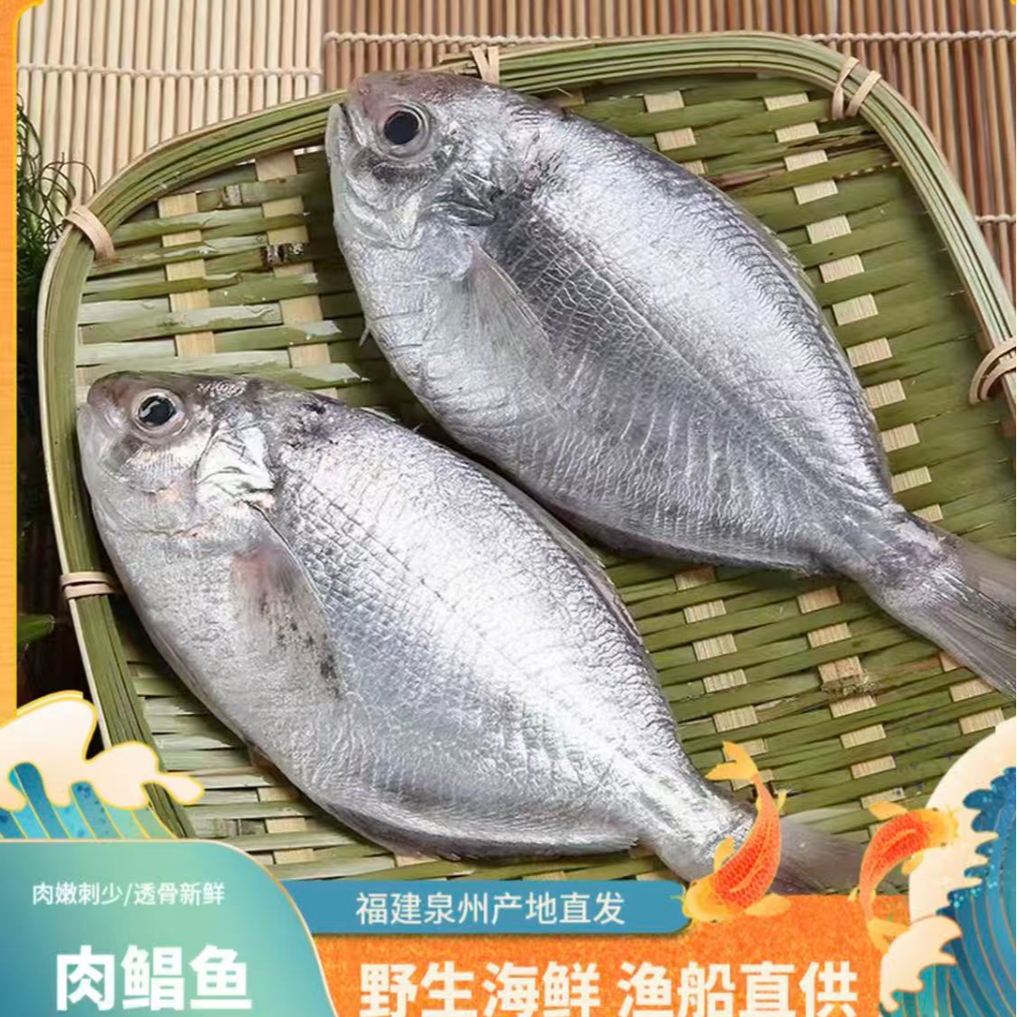 【魏来海鲜】海捕野生肉鲳鱼冷链到家冷冻食用冰鲜