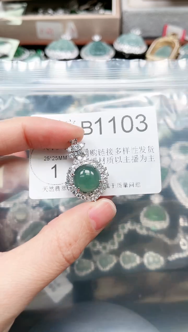 【闪购商品】翡翠颈饰未镶嵌赠皮绳1103