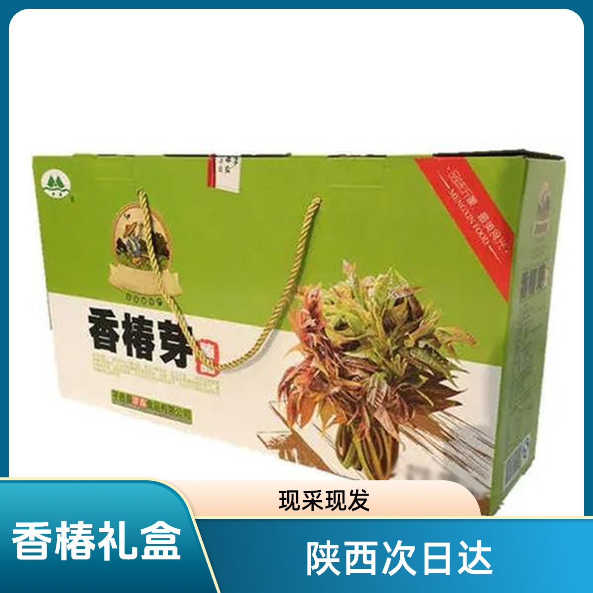 秦岭头茬新鲜温棚香椿芽礼盒装*1斤