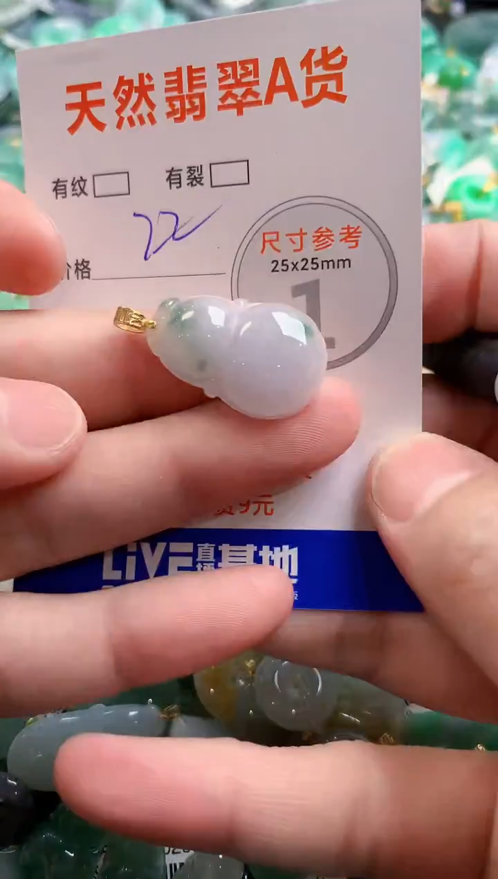 颈饰未镶嵌翡翠13007258